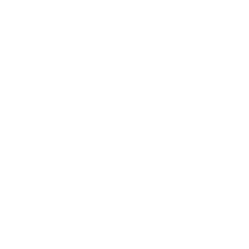 Village of the Flowers Logo